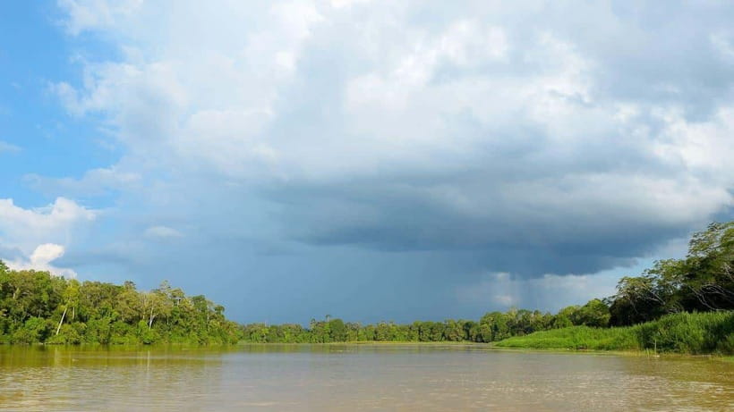 Sandakan : 3-Day Kinabatangan River Wildlife Adventure - What are the Highlights?