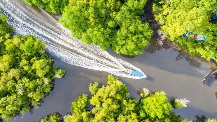Sandakan: Orangutan, Sun Bear, Fireflies and Mangrove Cruise - Practical Insights and Tips