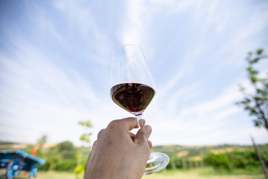 Santa Maria Della Versa: Grape Harvest & Wine Tasting Tour - Participant Information and Preparation
