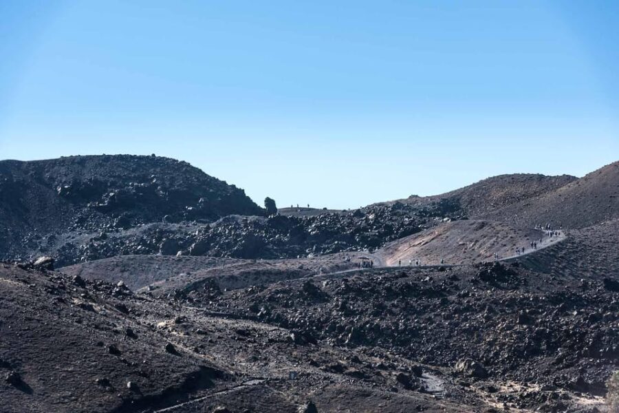 Santorini Port: Cruise to Volcano, Hot Springs & Thirassia - Exploring Nea Kameni: Hiking the Volcano
