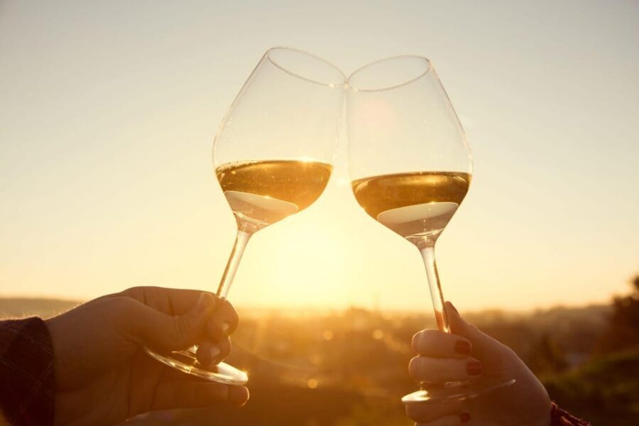 Santorini: Vegan Wine Tasting Private Tour - Who Will Appreciate This Tour?