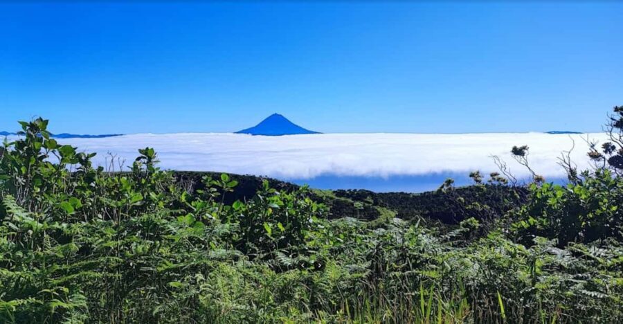 São Jorge Island Panoramic Adventure  4 Hour Tour - Practical Details & Tips