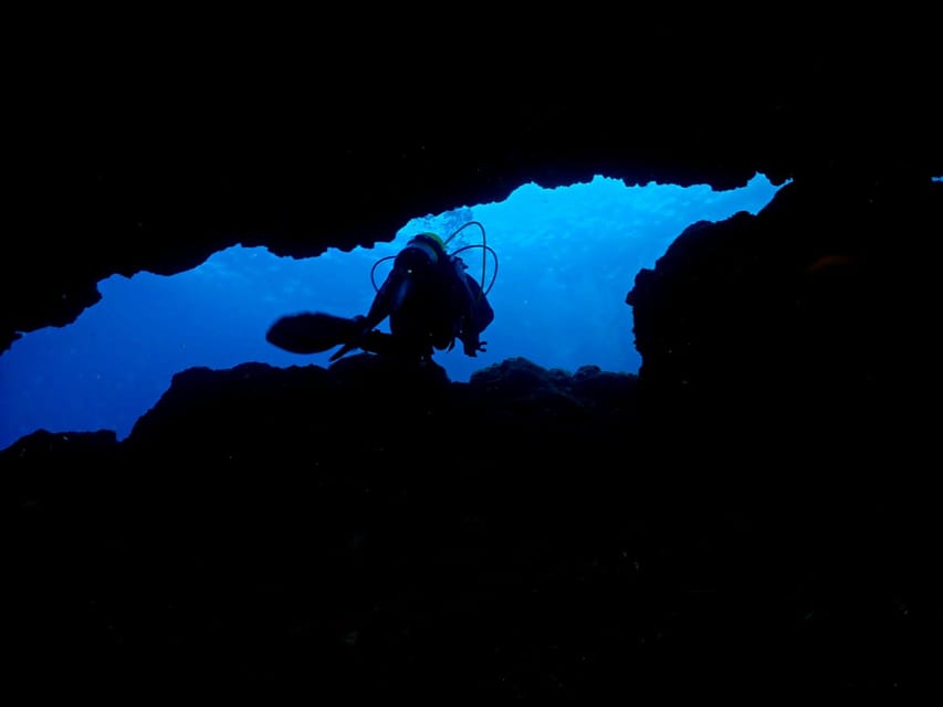 São Jorge: Scuba Diving - 2 Dives (Half Day) - The Itinerary Breakdown