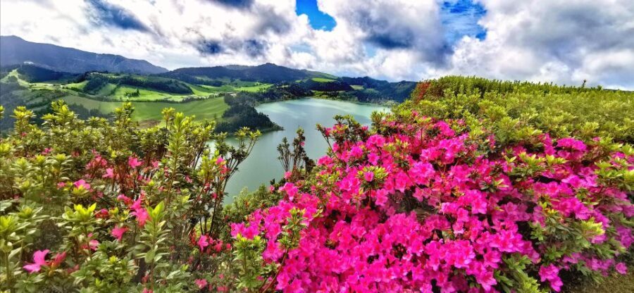 São Miguel: Furnas and Nordeste Full-Day Tour with Lunch - Transportation and Group Experience