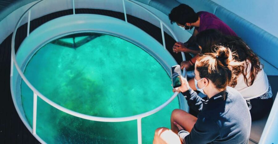 São Miguel: Glass Bottom Boat Tour with Snorkeling - Authentic Reviews and What They Tell Us