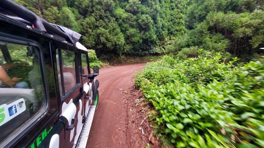 São Miguel Island: Full Day Furnas and Furnas Lake Tour - An In-Depth Look at the São Miguel Furnas and Furnas Lake Tour