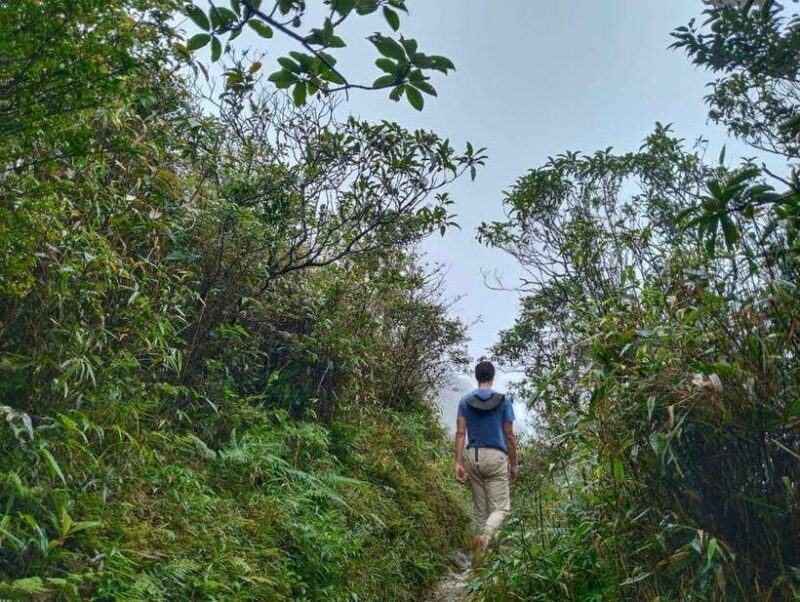 SAPA : Climb up to Fansipan Mountain With LOCAL GUIDE - Overview of the Climbing Experience