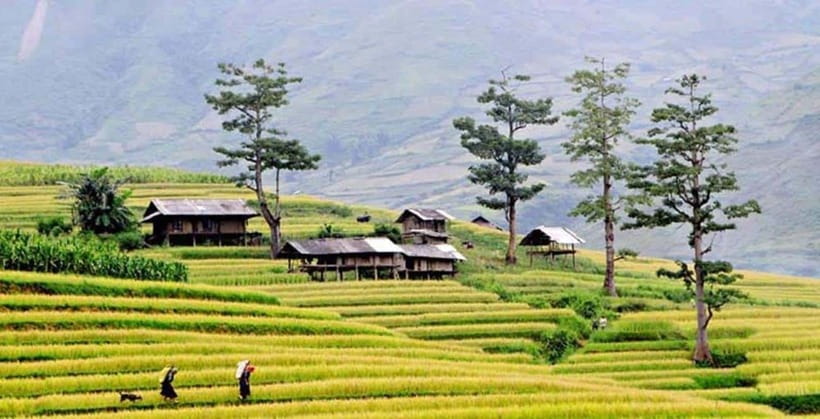 Sapa: Eco Adventure Terrace Fields and Local Villages Trek - Exploring the Stunning Terrace Fields