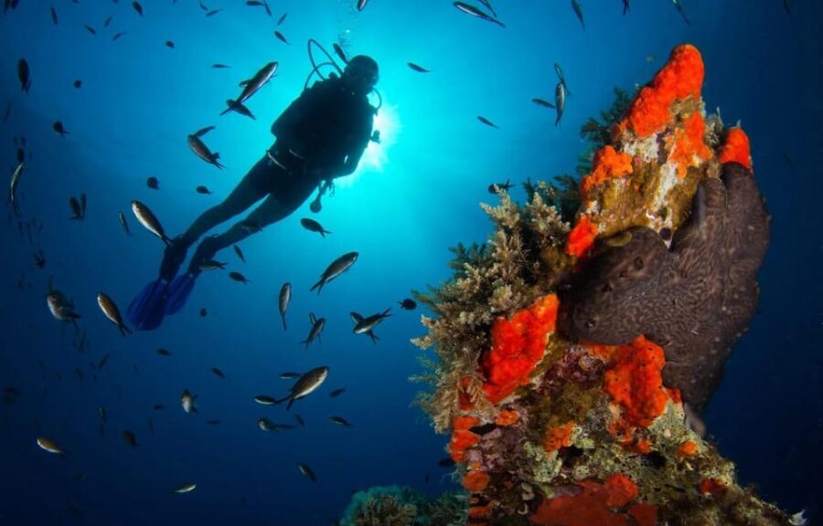 Scuba diving for beginners in crystal clear sea of Halkidiki - Who Should Consider This Experience?