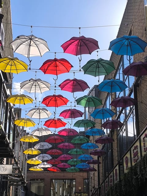 Secret and unusual Dublin: guided walking tour - Key Points