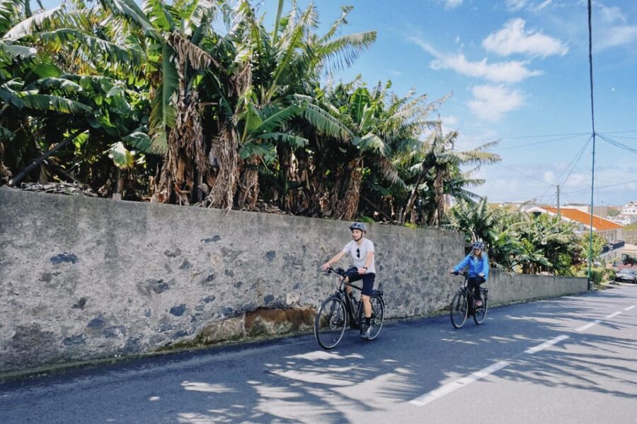 "Self-Guided" E-Bike Road Tour - Funchal to Câmara de Lobos - The Sum Up