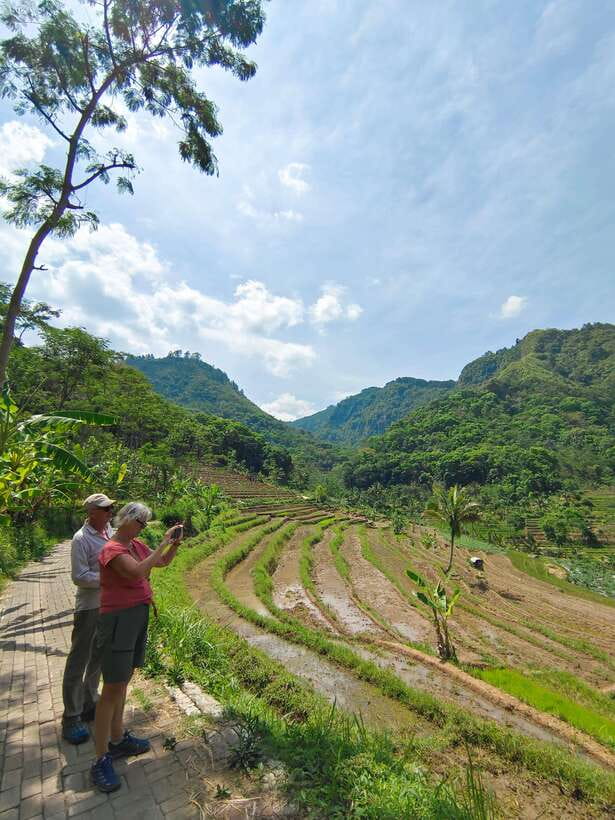 Selogriyo Temple, treking Java Rice Terrace hidden waterfall - An In-Depth Look at the Tour Experience