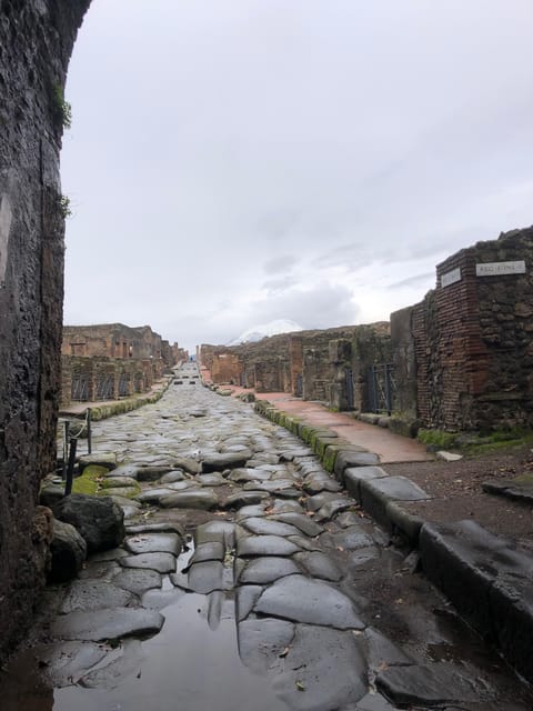 Semi-Private tour of Pompeii - Analyzing the Value