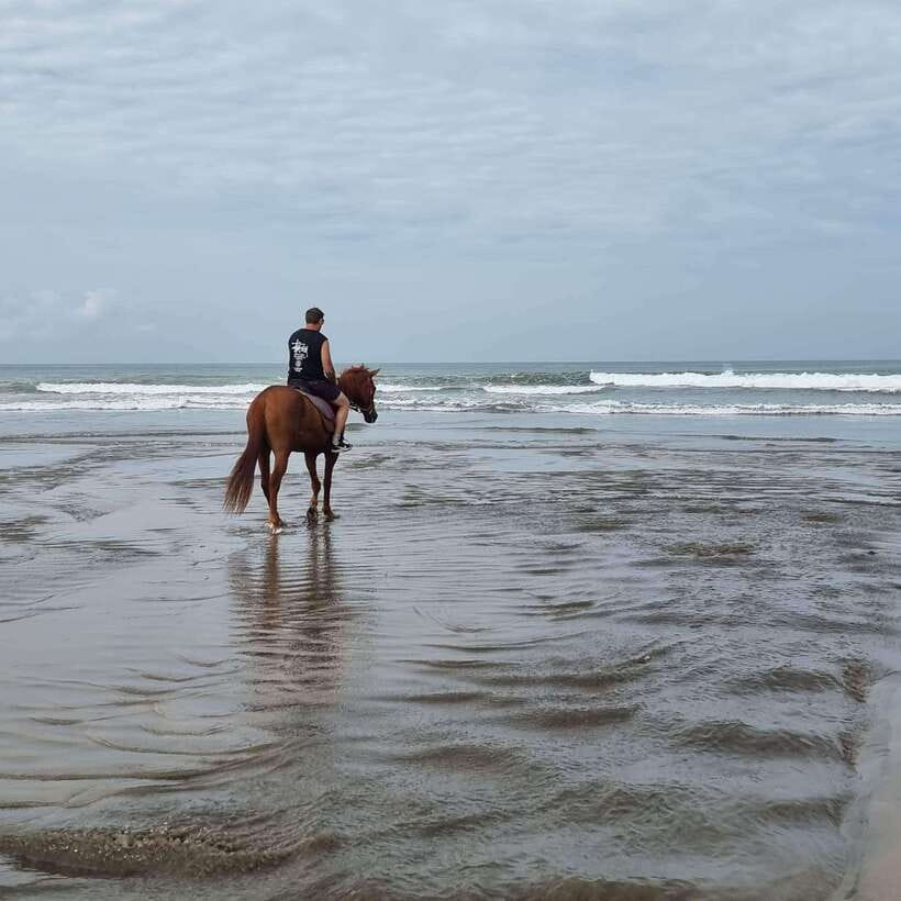 Seminyak Beach Horse Riding Experience - The Itinerary: What to Expect