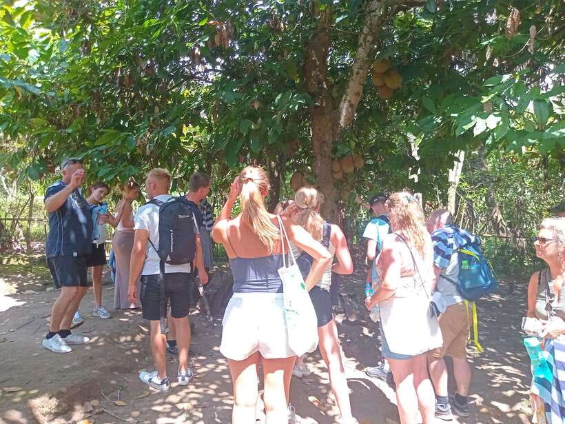 senaru waterfall tour - Who Should Consider This Tour?