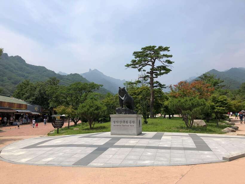 Seoraksan & Nami & Rail Bike & Morning Calm - In-Depth Look at Each Stop
