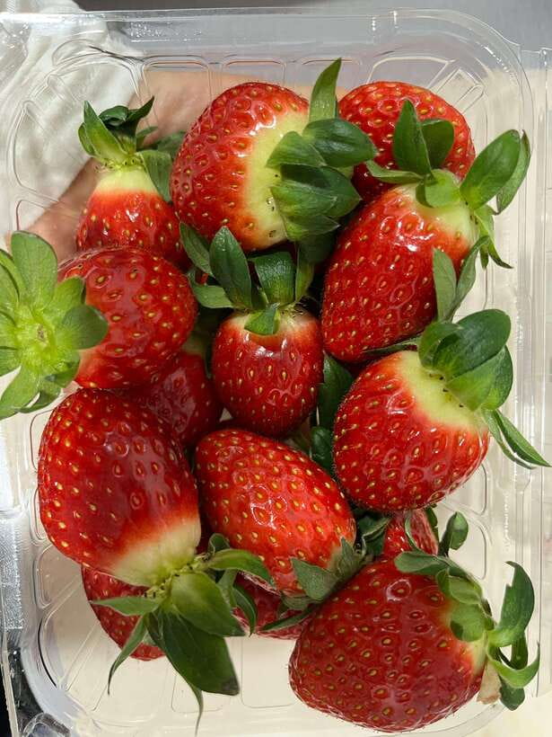 Seoul: Alpaca World, Nami, Eobi and Strawberry Picking Tour - Who Will Love This Tour?