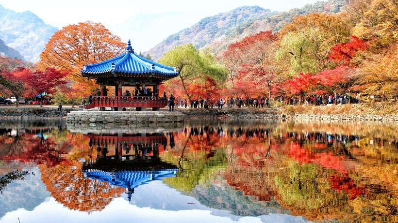Seoul: Autumn Foliage - Mt. Naejang + Jeonju Hanok Village - The Itinerary Breakdown: What to Expect