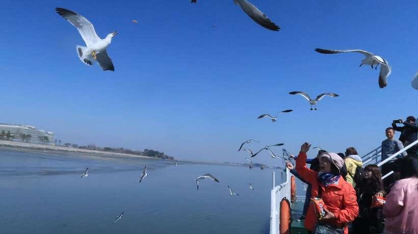 Seoul: Coastal Rail Bike, Sorae Park and Fairytale Village - The Practicalities