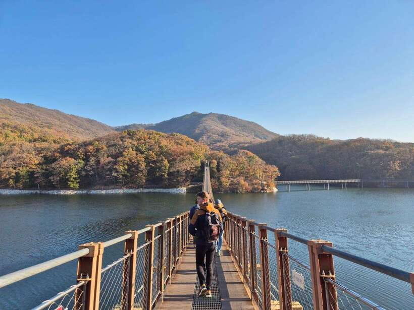 Seoul: DMZ Tour & North Korean Defector Meet Up (As Add-on) - Practical Details and What to Expect