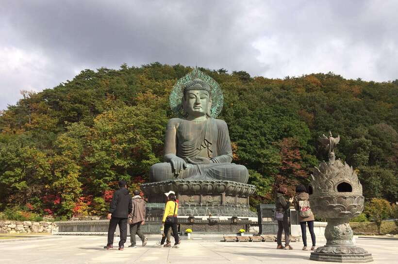 Seoul: Mt.Seorak, Nami Island, No Shopping(+RailBike Option) - What’s Included and What’s Not