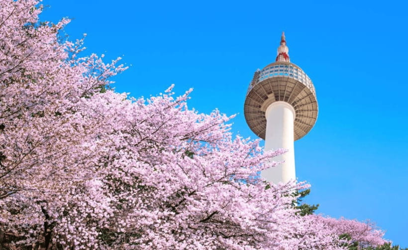 Seoul: N Seoul Tower Observatory Ticket - How It Compares to Other Seoul Attractions