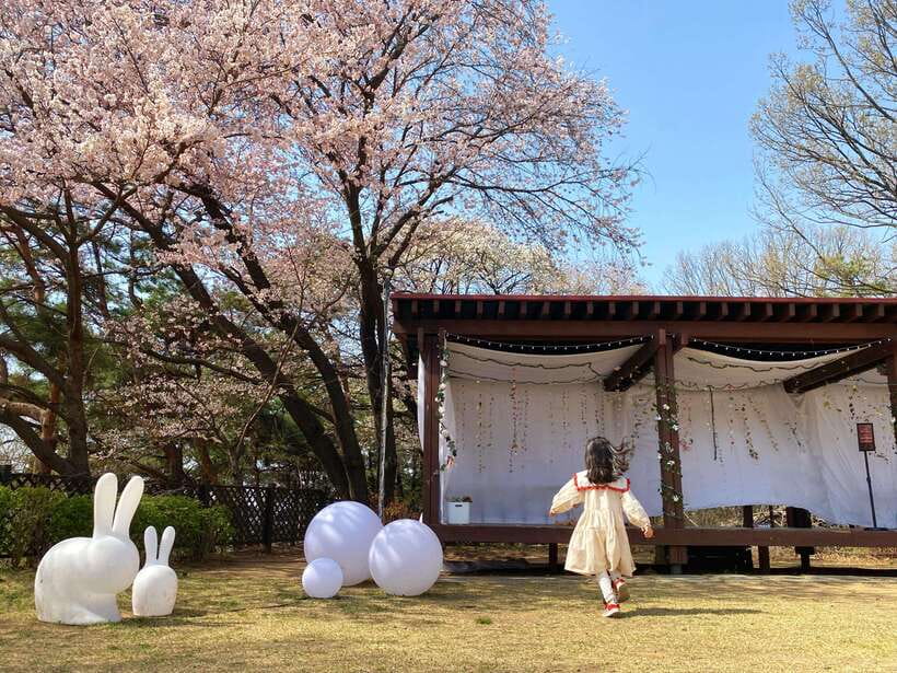 Seoul: Nami Island, Alpaca World, Morning Calm Garden - Practical Details and What They Mean for Your Trip