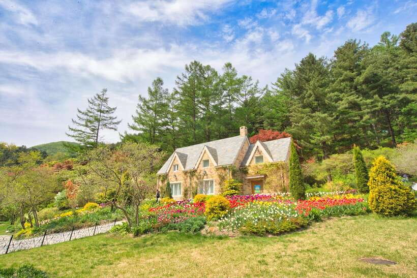 Seoul: Nami Island and Garden of Morning Calm (+Railbike) - Who Should Consider This Tour?