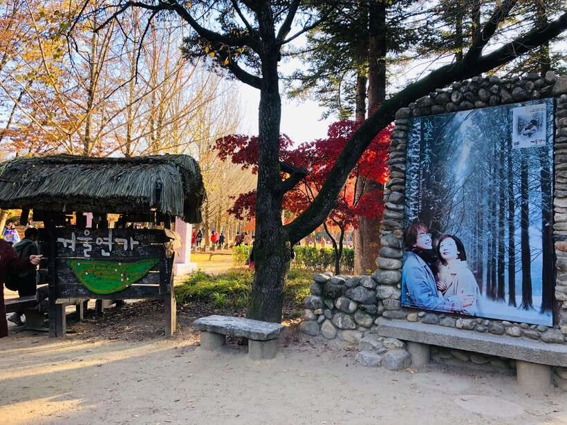 Seoul: Nami Island/Garden of Morning Calm Tour (+Rail Bike) - What Are the Key Highlights?