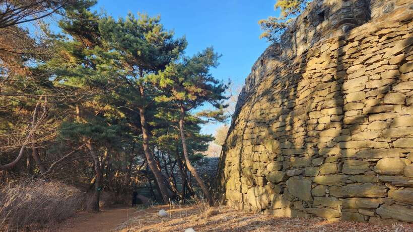 Seoul: Services of a Local for a Day (Paperwork/Tour/Fun) - Practical Tips
