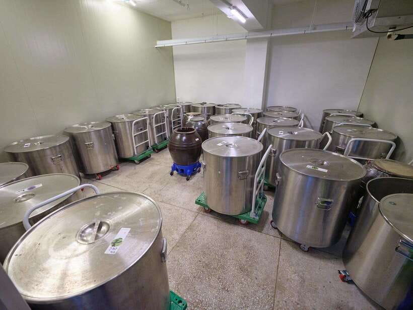 Seoul: Soju Tasting at Distillery - Who Will Love This Tour?
