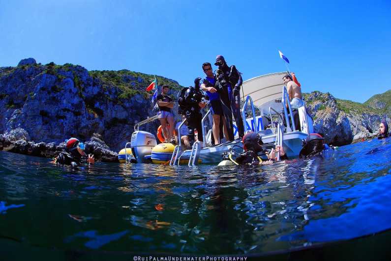 Sesimbra: Scuba Diving Experience for Beginners - Why This Experience Works