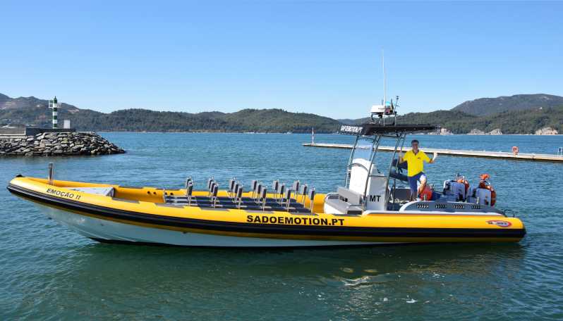 Setúbal and Tróia: Dolphin Watching and Arrábida Bays - Why This Tour Matters