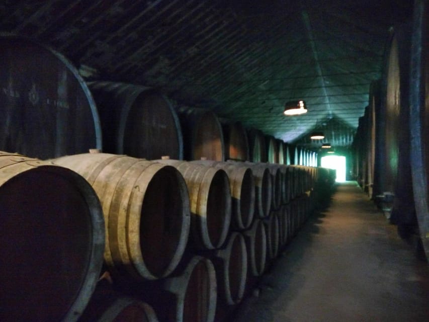 Setúbal: Market, Tiles and Wine (From Lisbon) - Azeitão: Tiles and Traditions