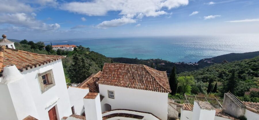 Setúbal: Private Tour with Wine Tasting and Tile Factory - The Value of This Experience
