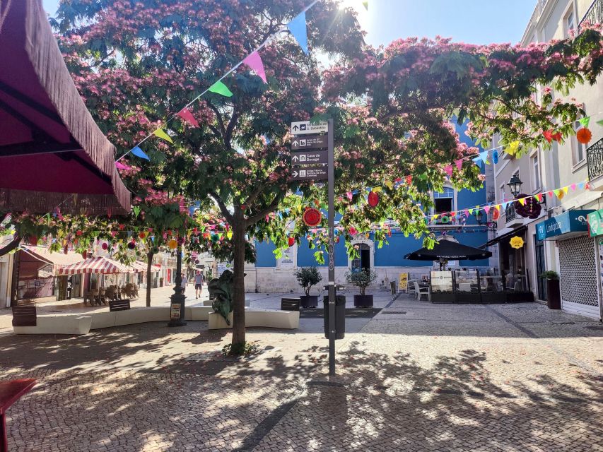 Setúbal Private Walking Tour: Off-the-Beaten-Path Charms - A Close Look at the Setúbal Private Walking Tour