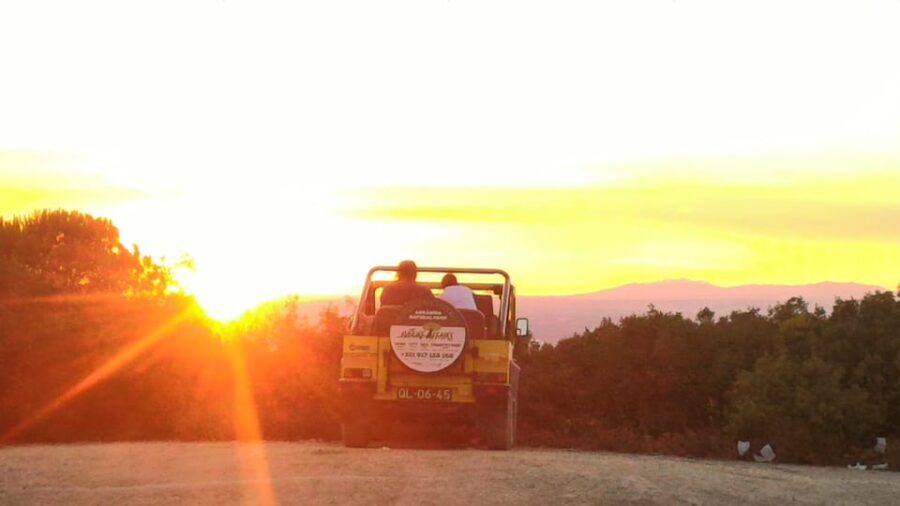 Setúbal: Romantic Picnic Sunset Wine Experience - Why This Experience Is Worth Considering