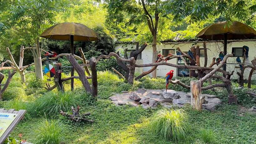 Shanghai: Zoo and Zhujiajiao Water Town Tour with Boat Ride - What We Loved About the Tour
