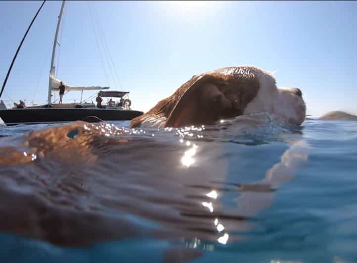 Shared Half Day Cruise in Athenian Riviera - The Water Stops: Swimming, Snorkeling, and Water Toys