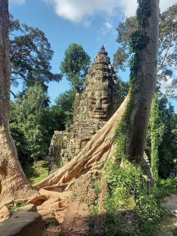 Shared one day tour with Spanish speaking tour guide in Angkor Temple. - Value and Practicalities