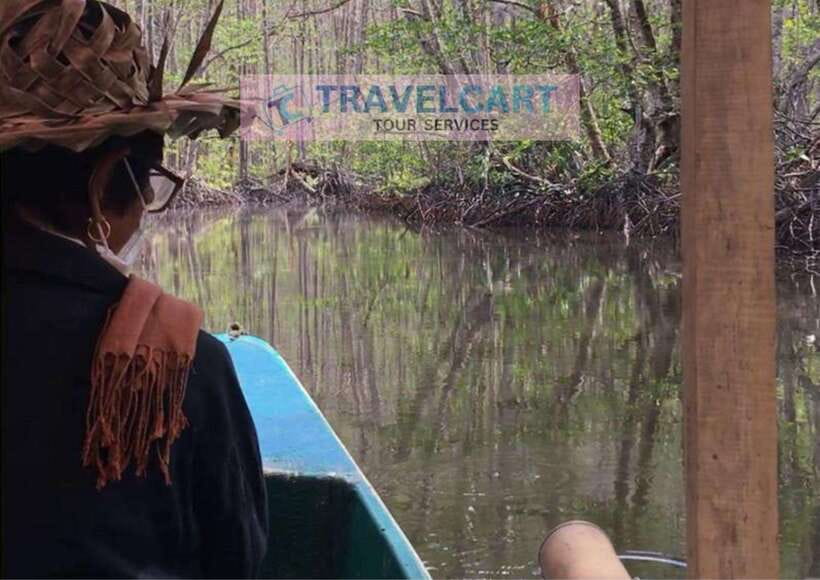 Shared Underground River with Mangrove Paddle Boat & LUNCH - Practical Details and Insights