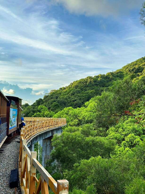 Shenzhen: Pingshan Tea Valley and Wetland Garden Tour - A Detailed Look at the Itinerary