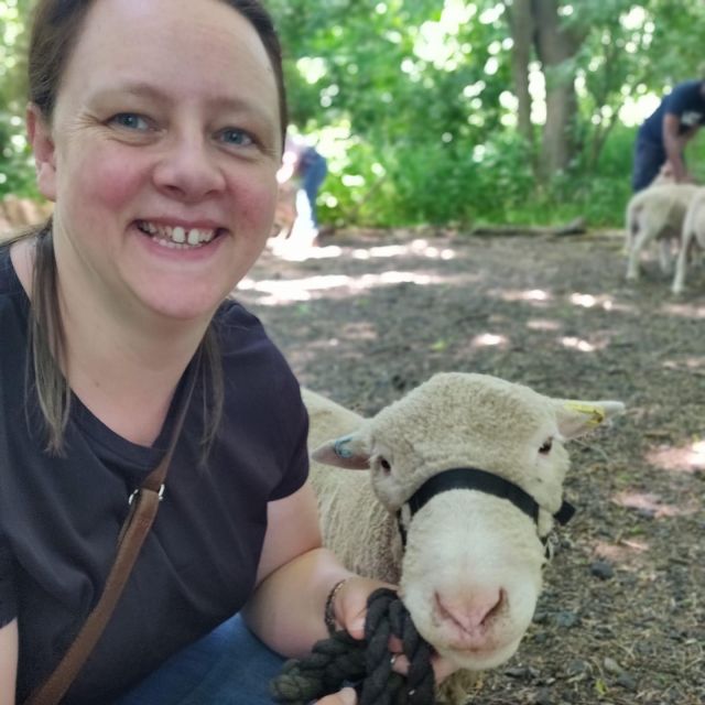 Shropshire: Sheep Trek with the Smallest Sheep in the World - The Value of a Quirky Farm Experience