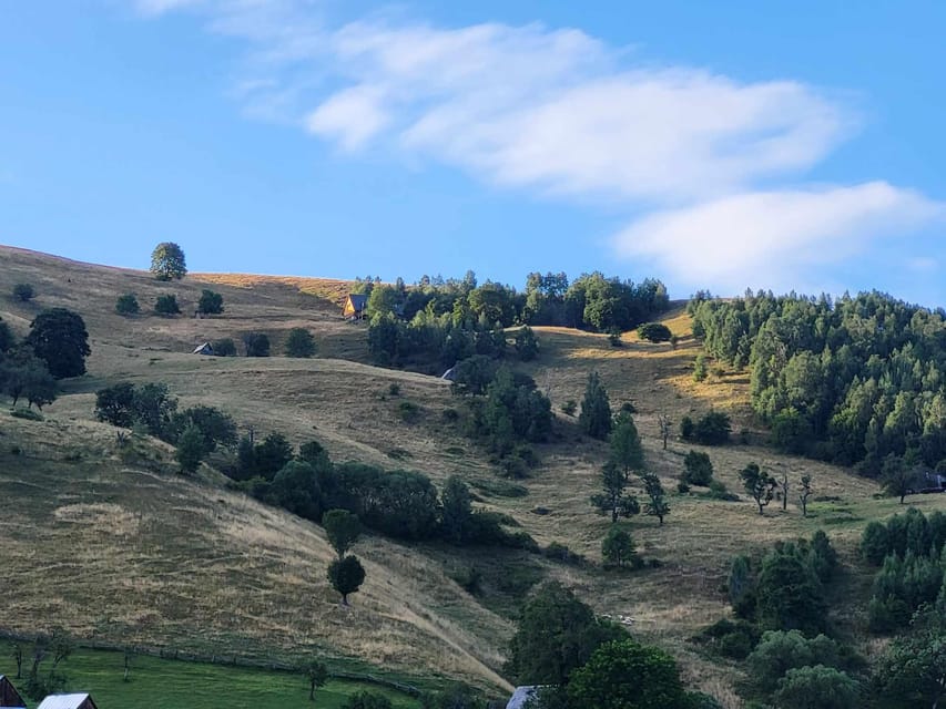 Sibiu: Cindrel Mountains Hike with Traditional Brunch - Who Will Enjoy This Tour?