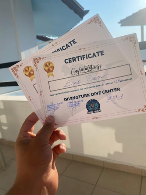 Side: Scuba Diving & Under Water Museum with Hotel Transfer - What the Reviews Say