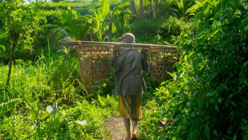 Sidemen Trekking: A Walk from Different Perspective - Scenic Viewpoints and Photo Stops