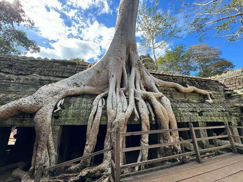 Siem Reap: 1-Day Angkor Wat Group Tour with Spanish Guide - Final Thoughts: Why Choose This Tour?