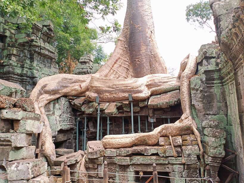 Siem Reap: 4 Hour-Ta Prohm and Banteay Kdei Guided Tour - The Practical Side: Transportation, Timing, and What’s Included