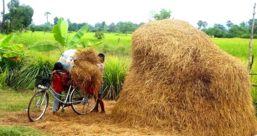 Siem Reap: Countryside Jeep Tour 3 hours - Itinerary Breakdown: What to Expect