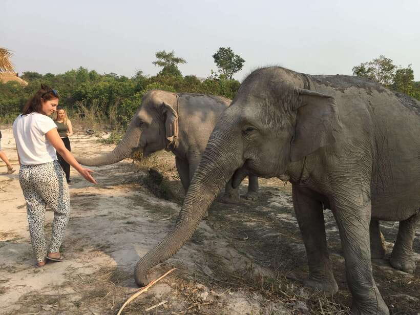 Siem Reap: Dine with Elephants, a Nature & Wildlife Journey - The Itinerary: What Makes Each Stop Special